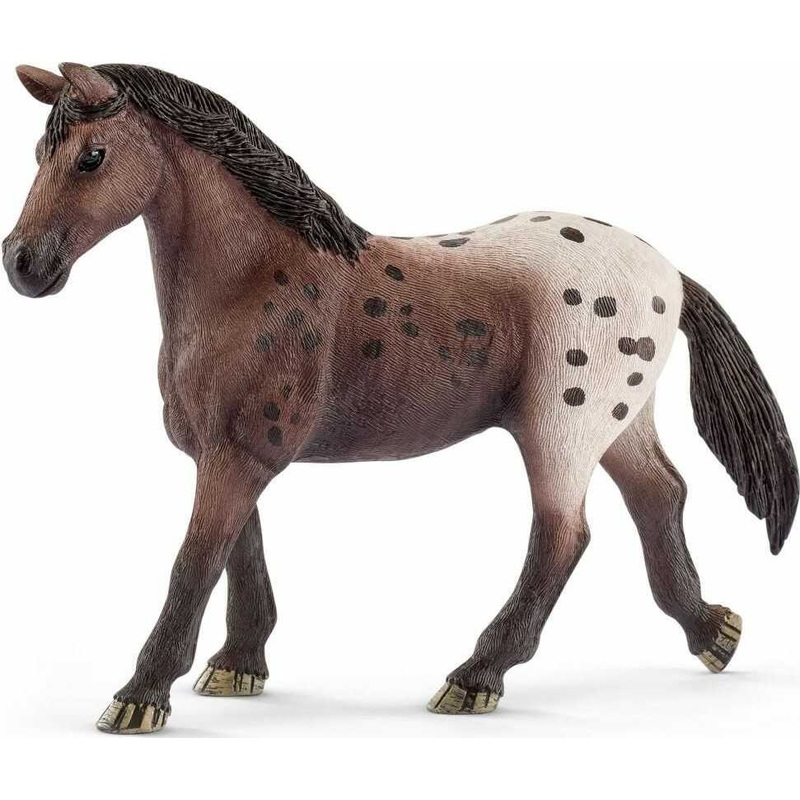 Appaloosa Mare