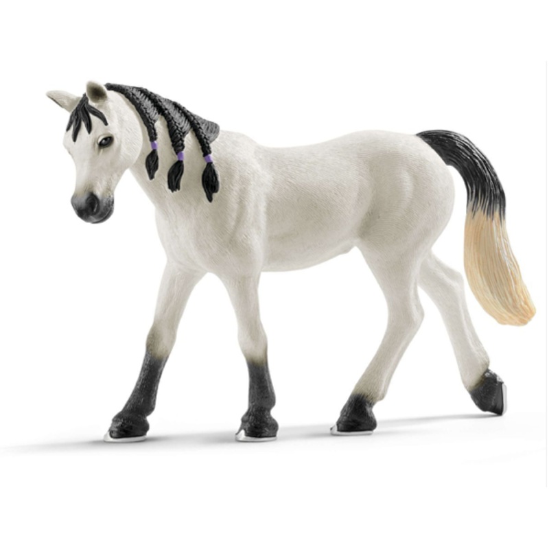 Arabian Mare