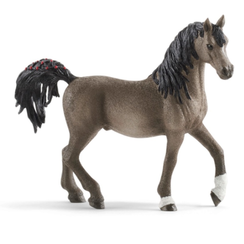 Arabian Stallion
