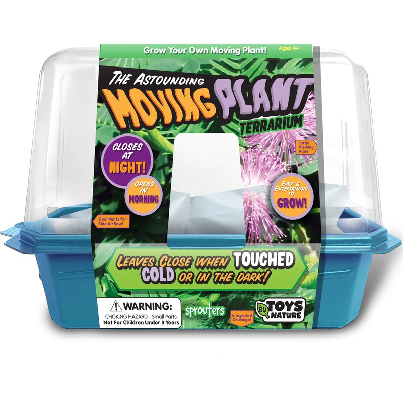 Astounding Moving Plant
