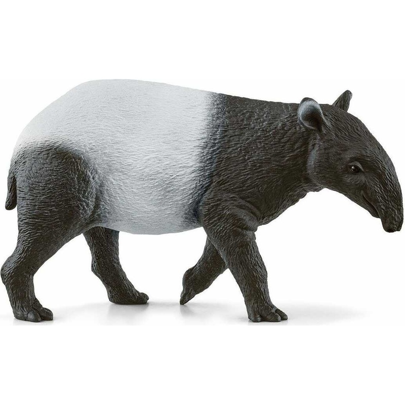 Tapir