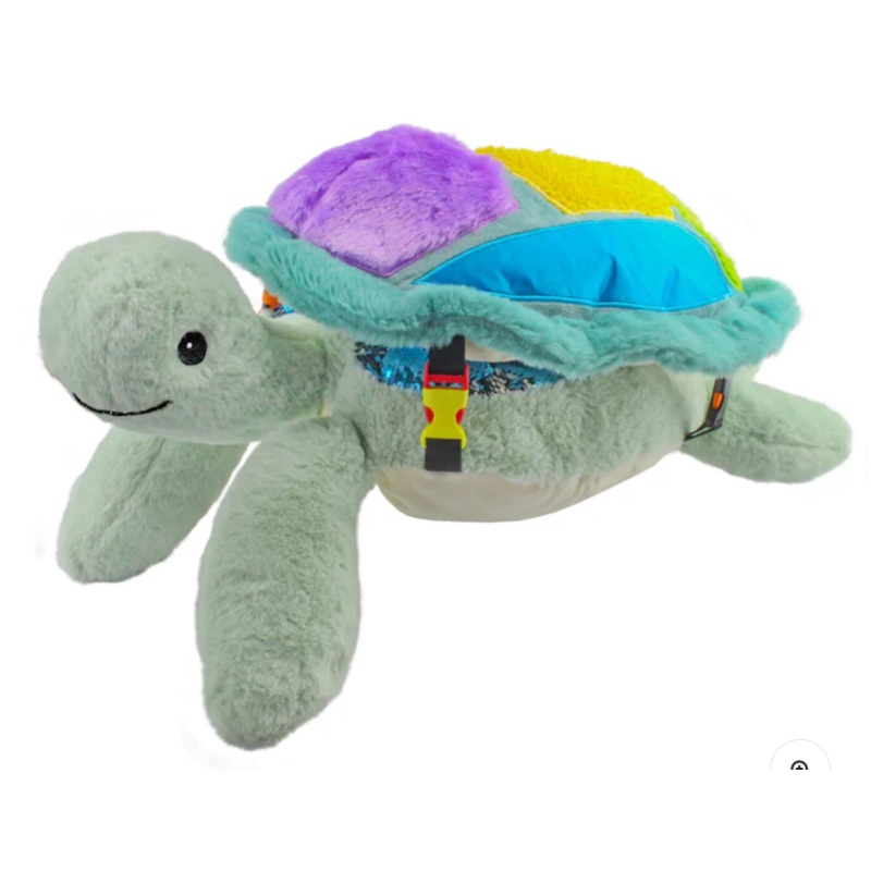 Sunny Weighted Turtle