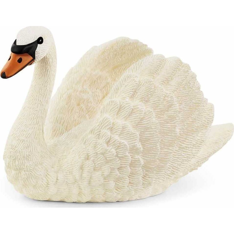 Swan