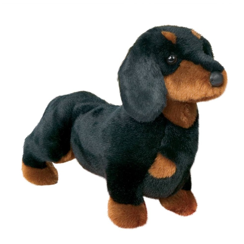 Spats Black And Tan Dachshund