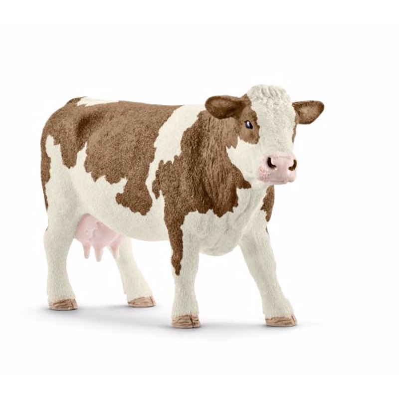 Simmental cow