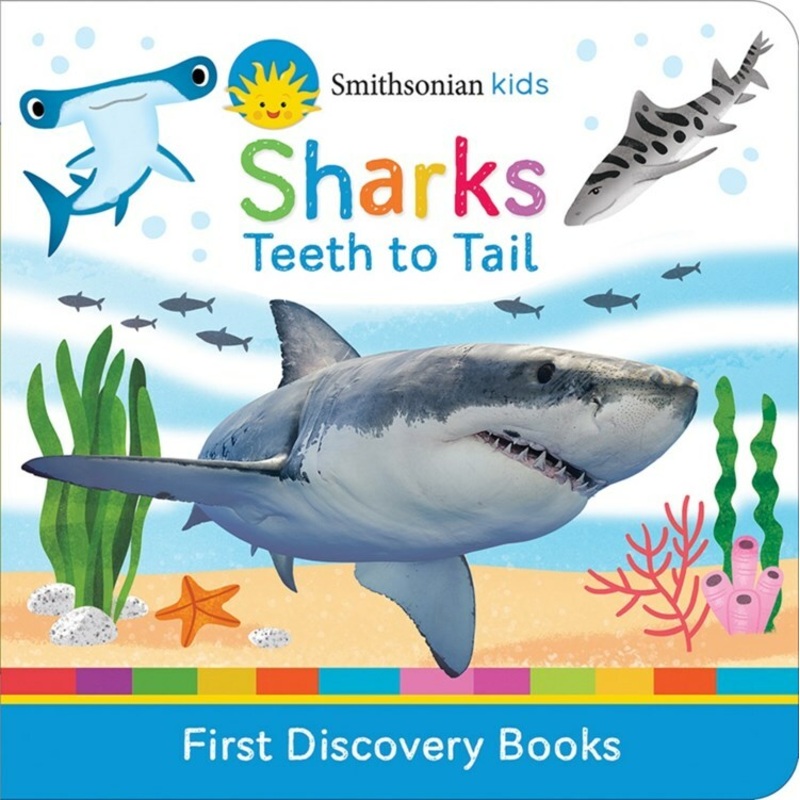 Smithsonian Kids Sharks Teeth to Tail