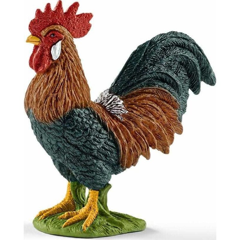 Rooster