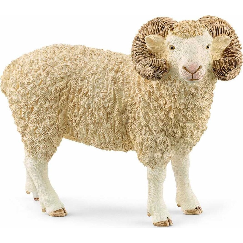 Ram