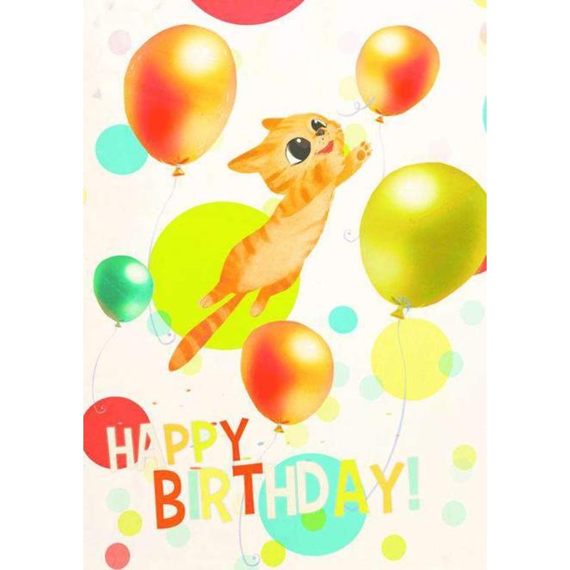 Pop N Play - Birthday Cat