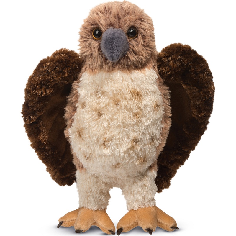 Orion Red-Tailed Hawk