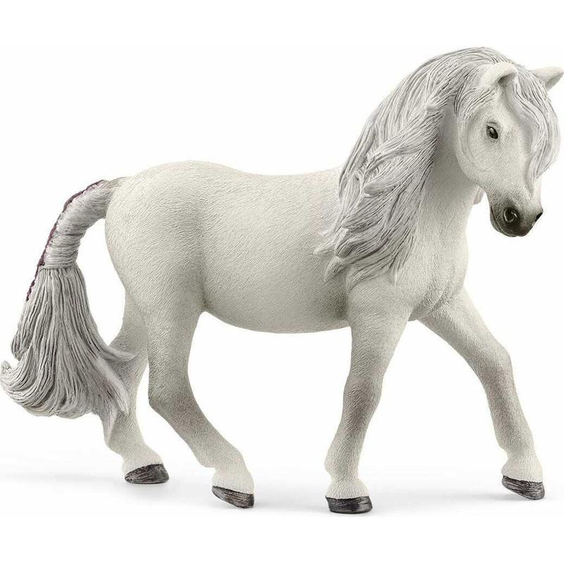Icelandic Pony Mare