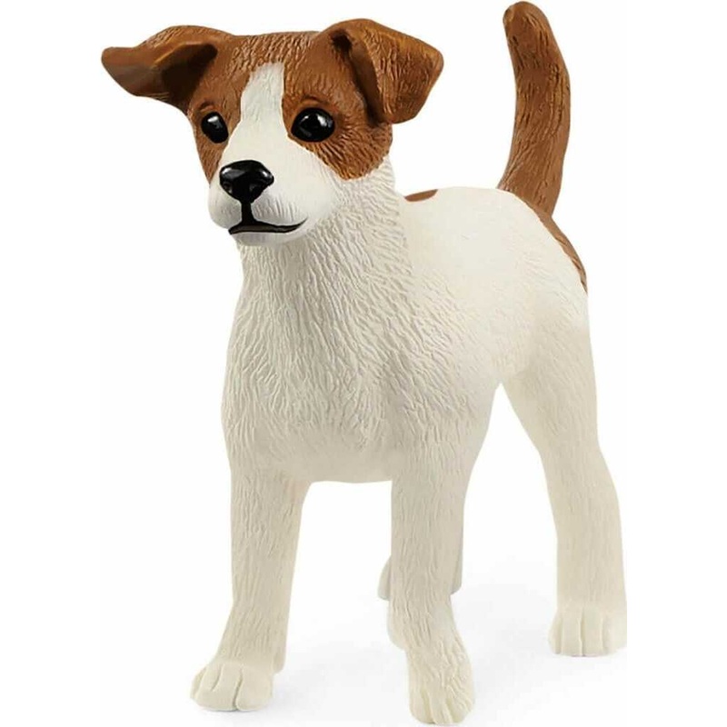 Jack Russell Terrier