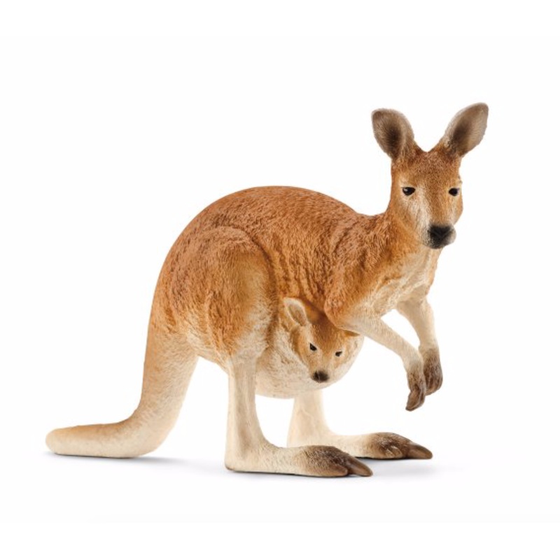 Kangaroo