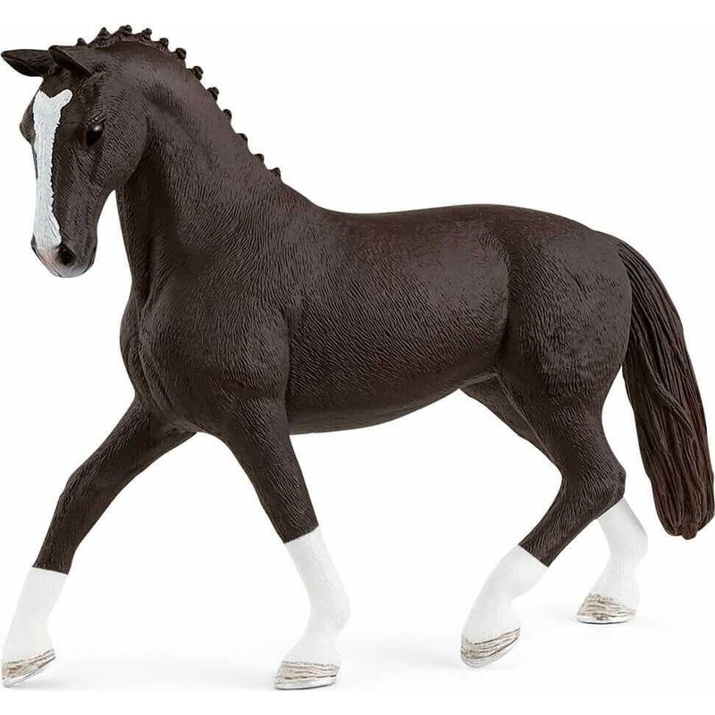 Hanoverian Mare, Black