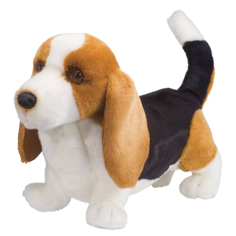 Harold Basset Hound