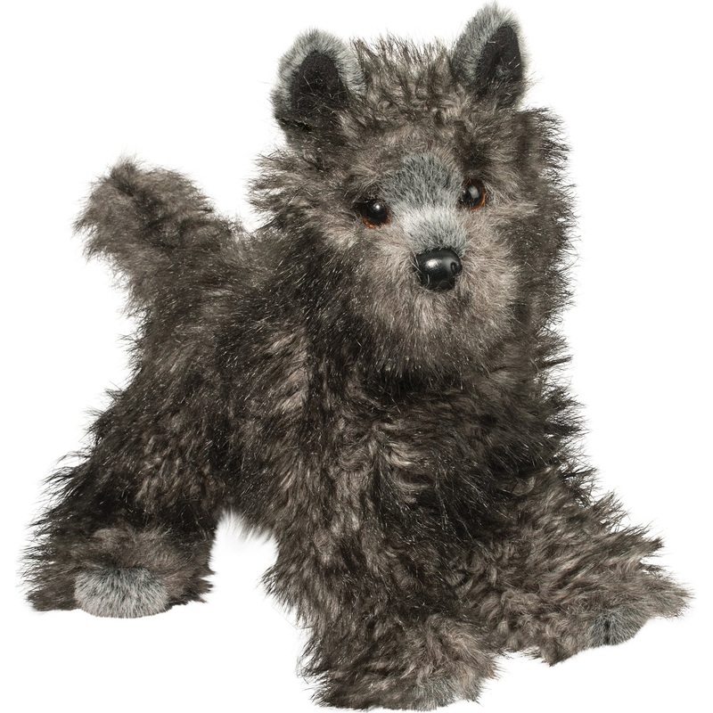 Hazel Cairn Terrier Douglas