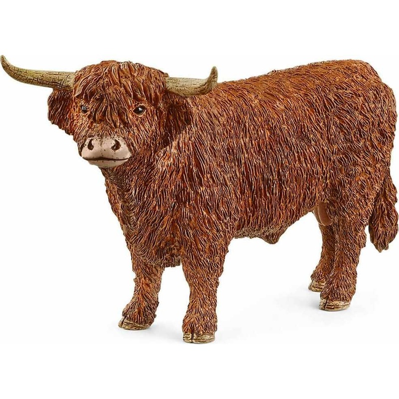 Highland Bull