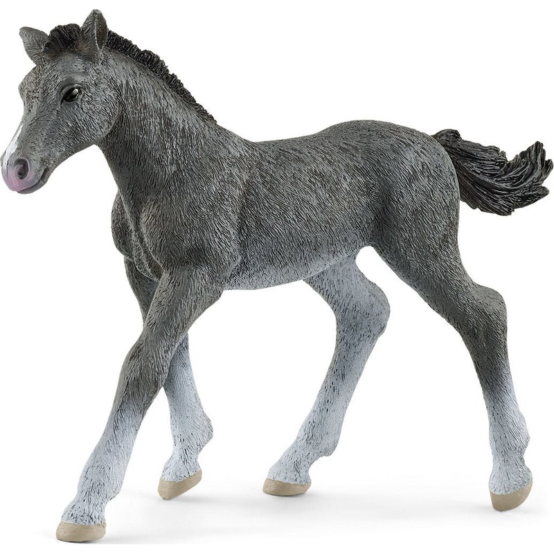 Horse Club Trakehner Foal