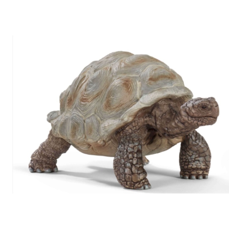 Giant Tortoise