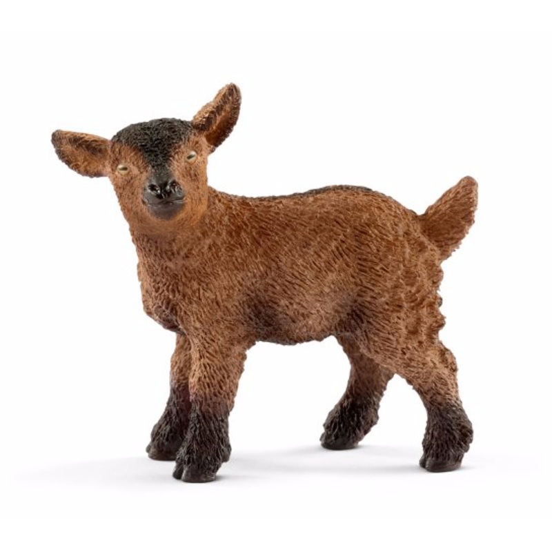 Goat kid