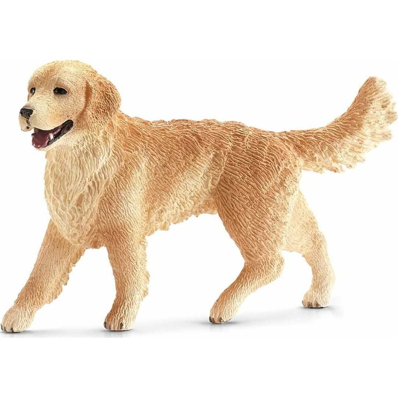Golden Retriever, Female