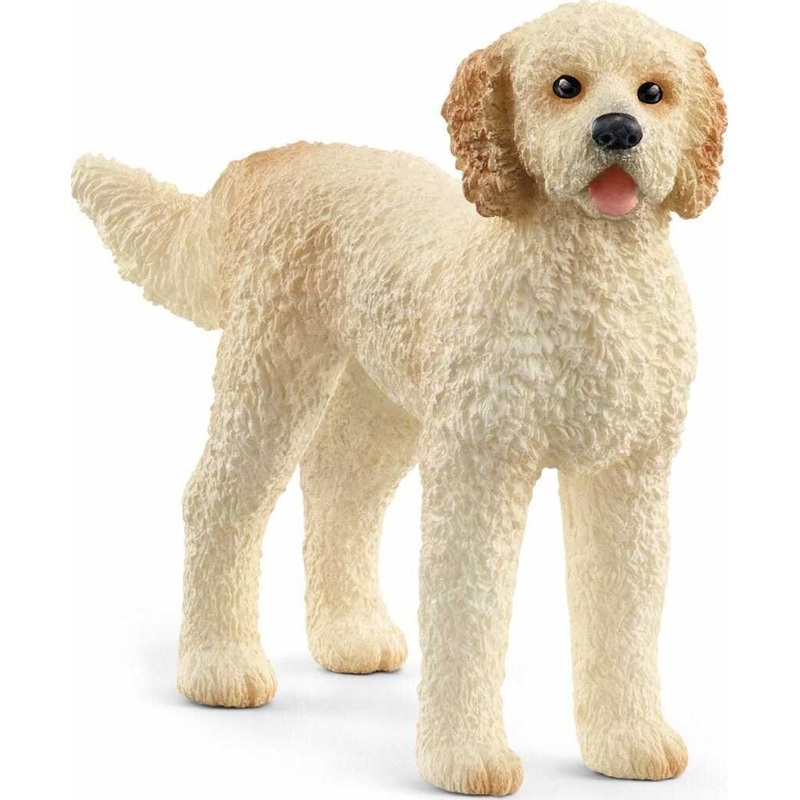 Goldendoodle