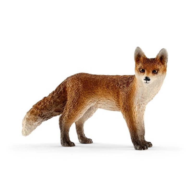Fox