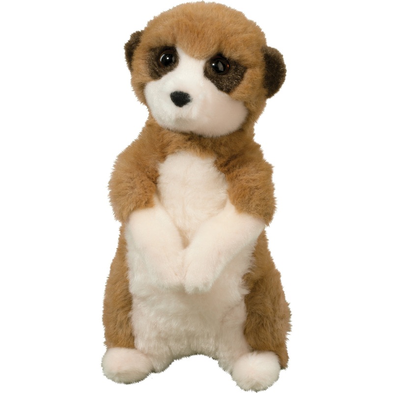 Enzo Meerkat