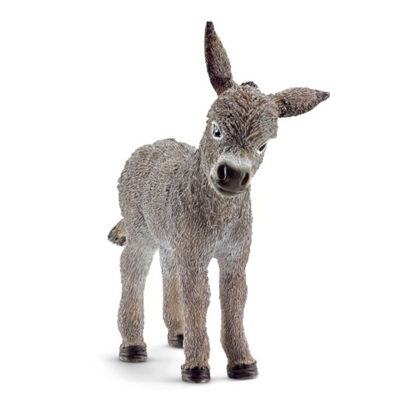 Donkey Foal