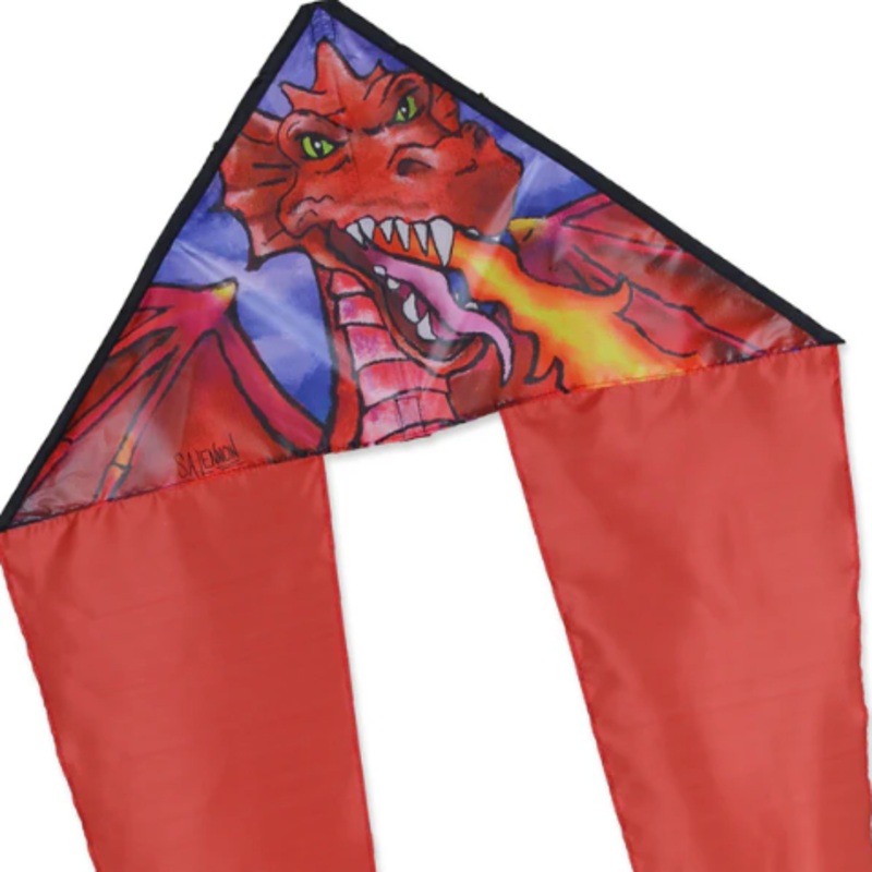 Dragon Zippy Flotail Kite